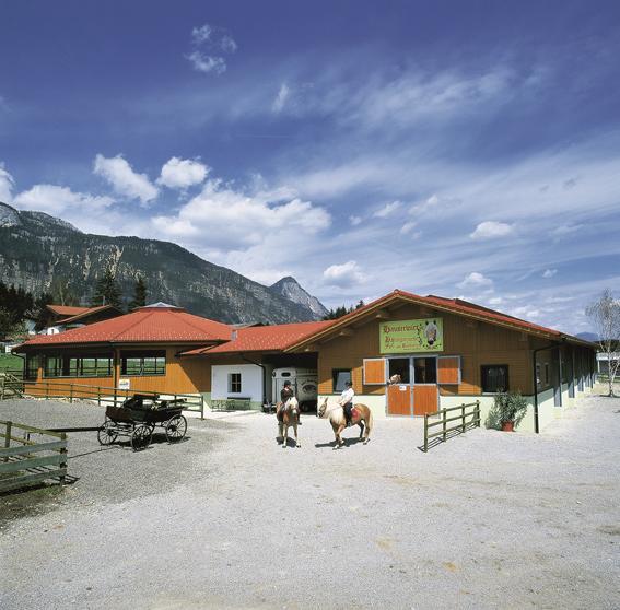 Hauserwirt 3*
